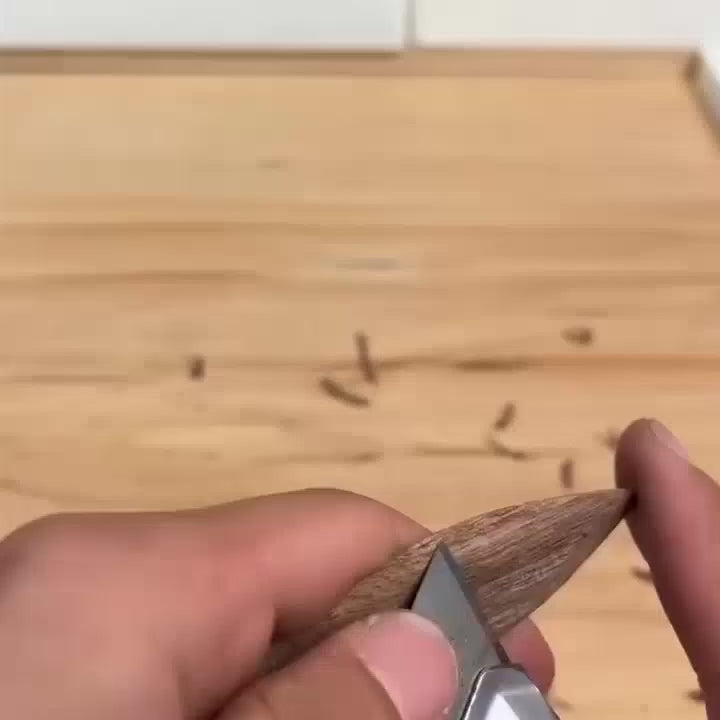 The Quietly Wild Swan — movement demonstration