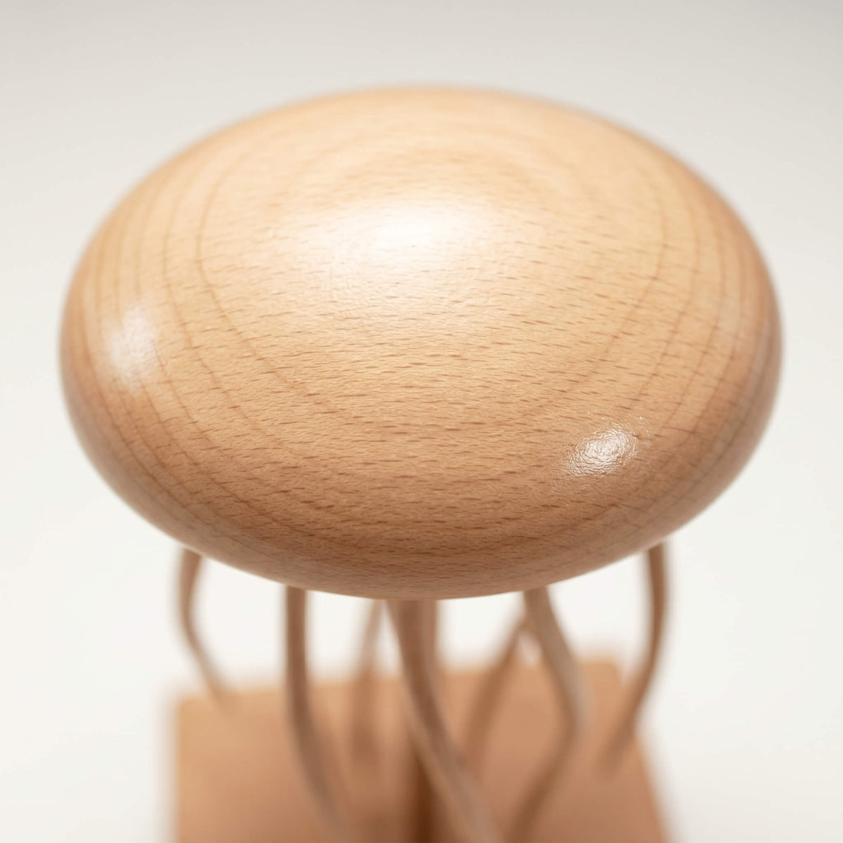 The Floating Jellyfish — detail 10